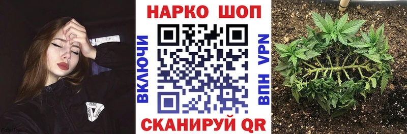 Бошки Шишки Анива