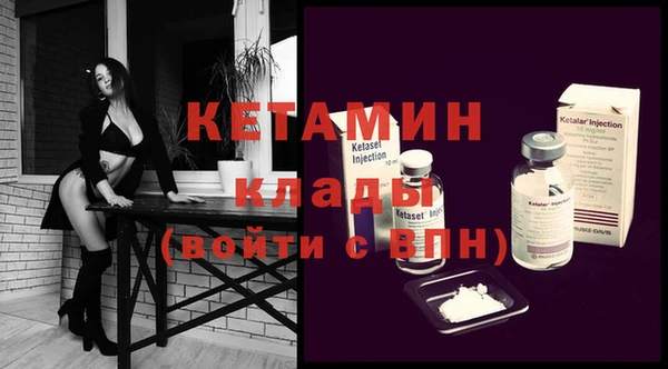 шишки Корсаков