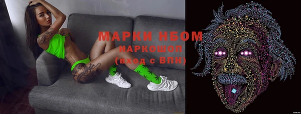 сатива Коряжма