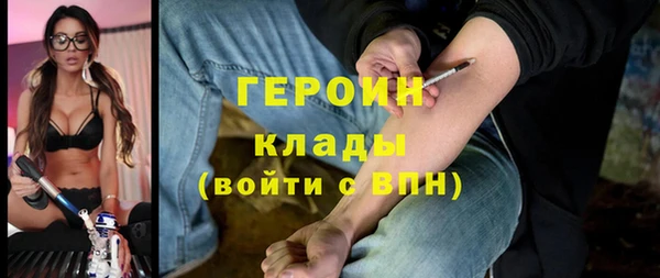 сатива Коряжма