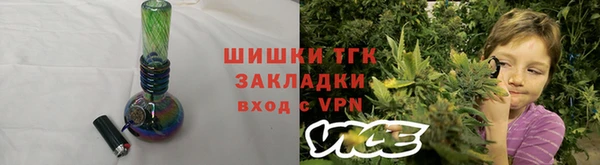 шишки Корсаков
