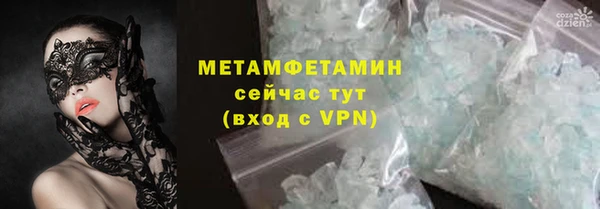 шишки Корсаков