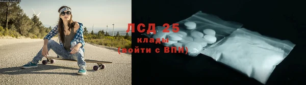 сатива Коряжма
