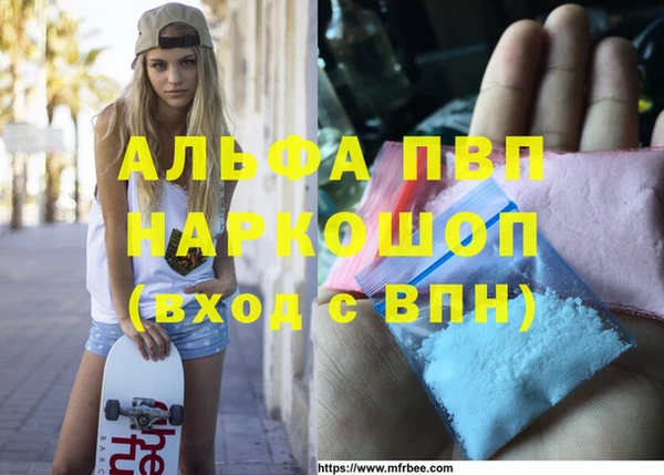 сатива Коряжма