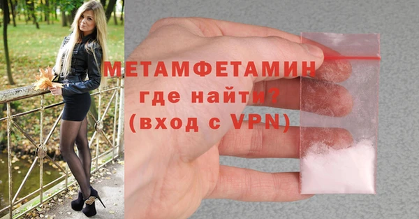 сатива Коряжма