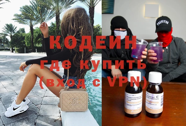 шишки Корсаков