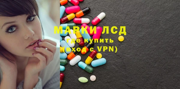 сатива Коряжма