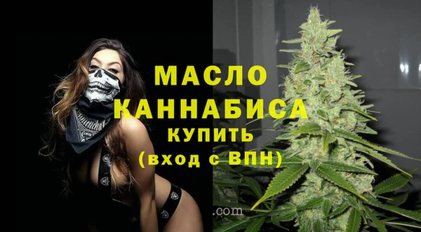 сатива Коряжма
