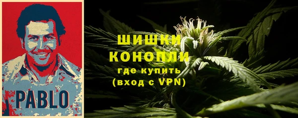 шишки Корсаков