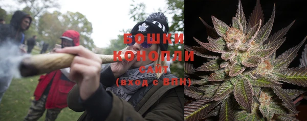 бошки Костерёво