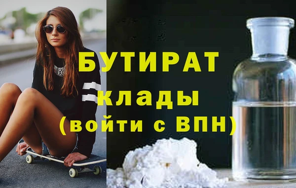 шишки Корсаков
