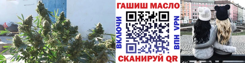Купить  Анива  ТГК THC oil 