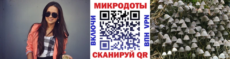 Галлюциногенные грибы MAGIC MUSHROOMS  Купить закладки  Анива 